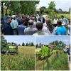 اولین برداشت مکانیزه برنج سال جاری در شهرستان لاهیجان 